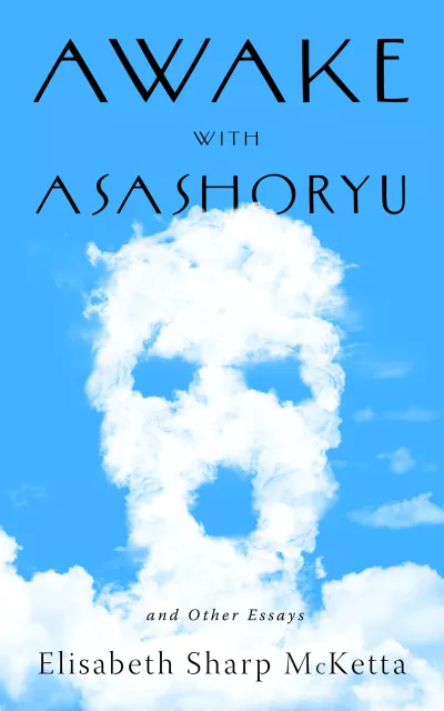 Book cover for