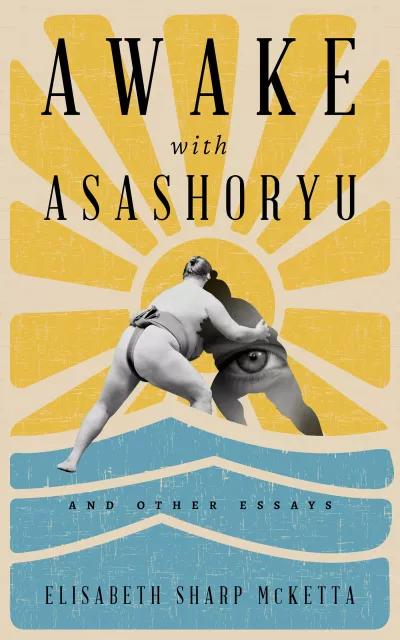 Book cover for