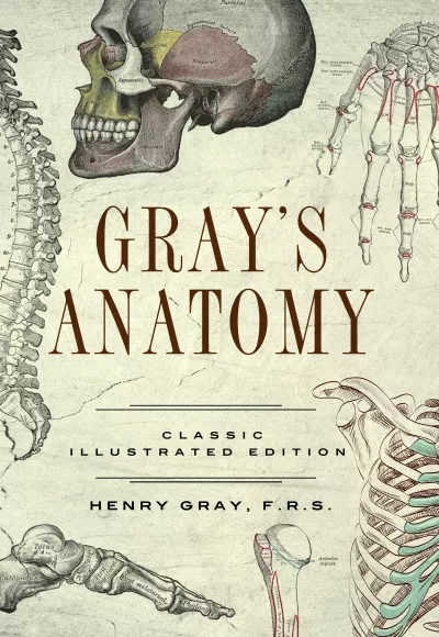 Book cover for
